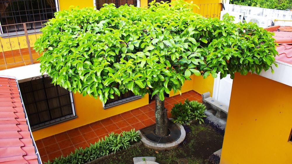 Hotel Villa Terra 산살바도르 외부 사진